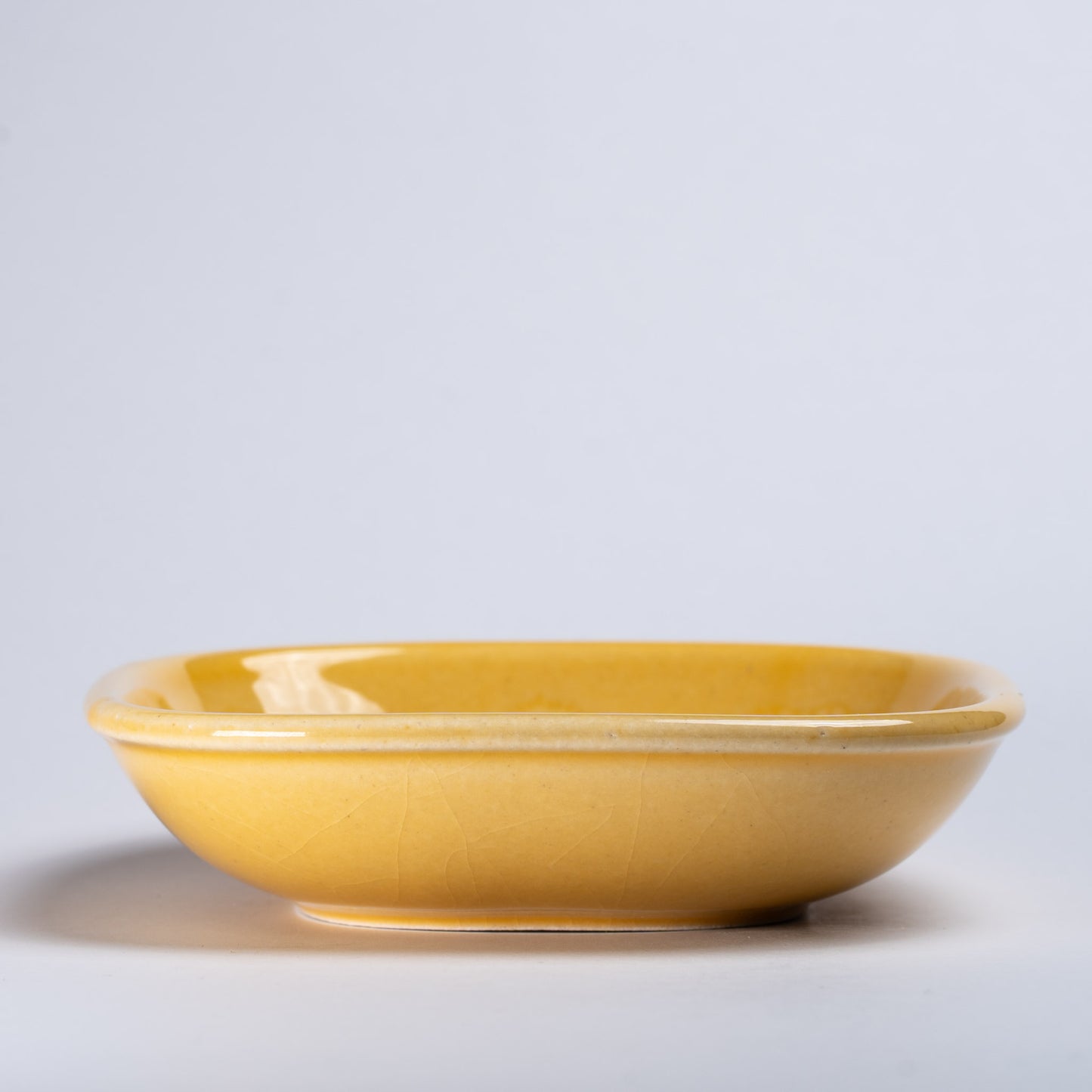 Seto ware acorn plate - Cat Bus