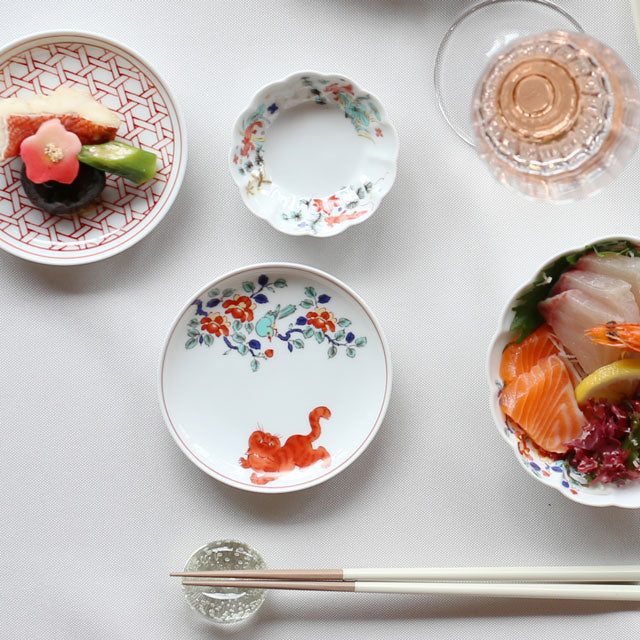 BARBAR MARUHIRO IROE Small Plate - Exotic Short Hair