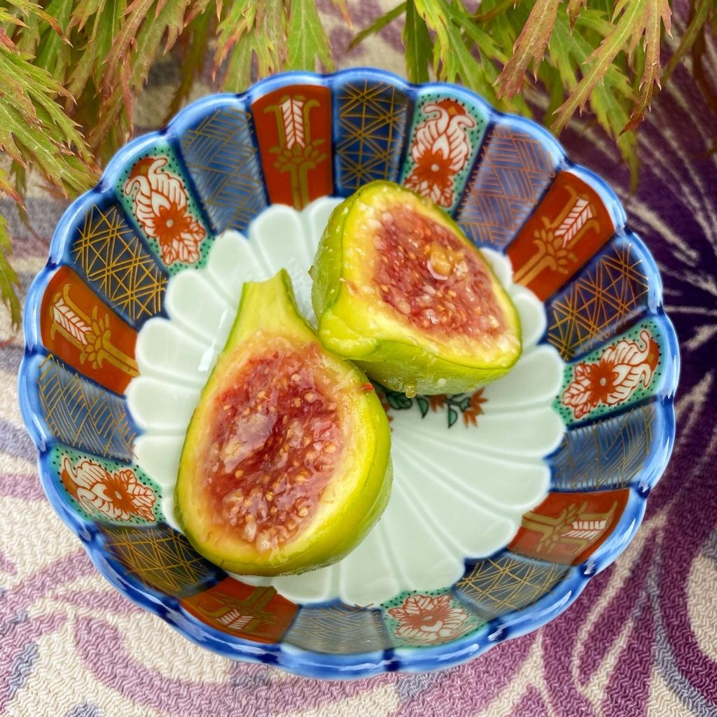 Rinkuro Kiln Old Imari Dyed brocade crest bowl